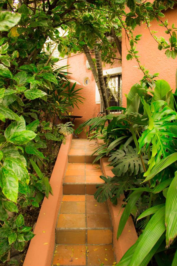 Raiz Hostel Medellín Eksteriør billede