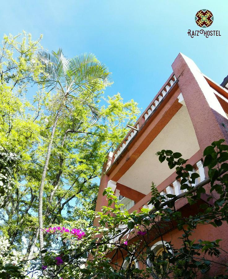 Raiz Hostel Medellín Eksteriør billede